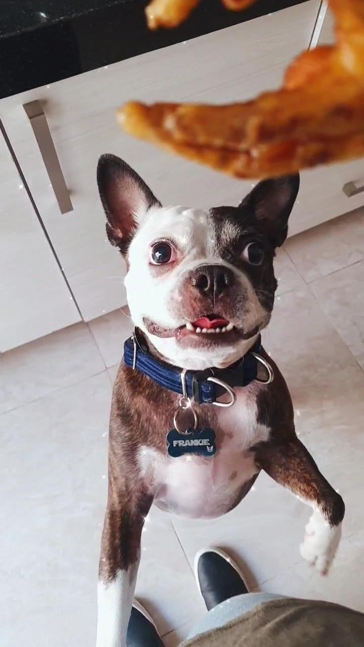 5 PATITAS DE POLLO HORNEADAS